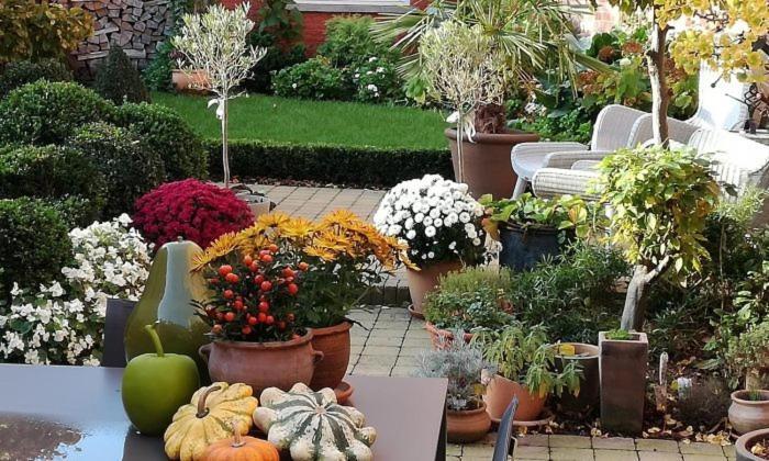 Adamas B&B Dendermonde Eksteriør billede